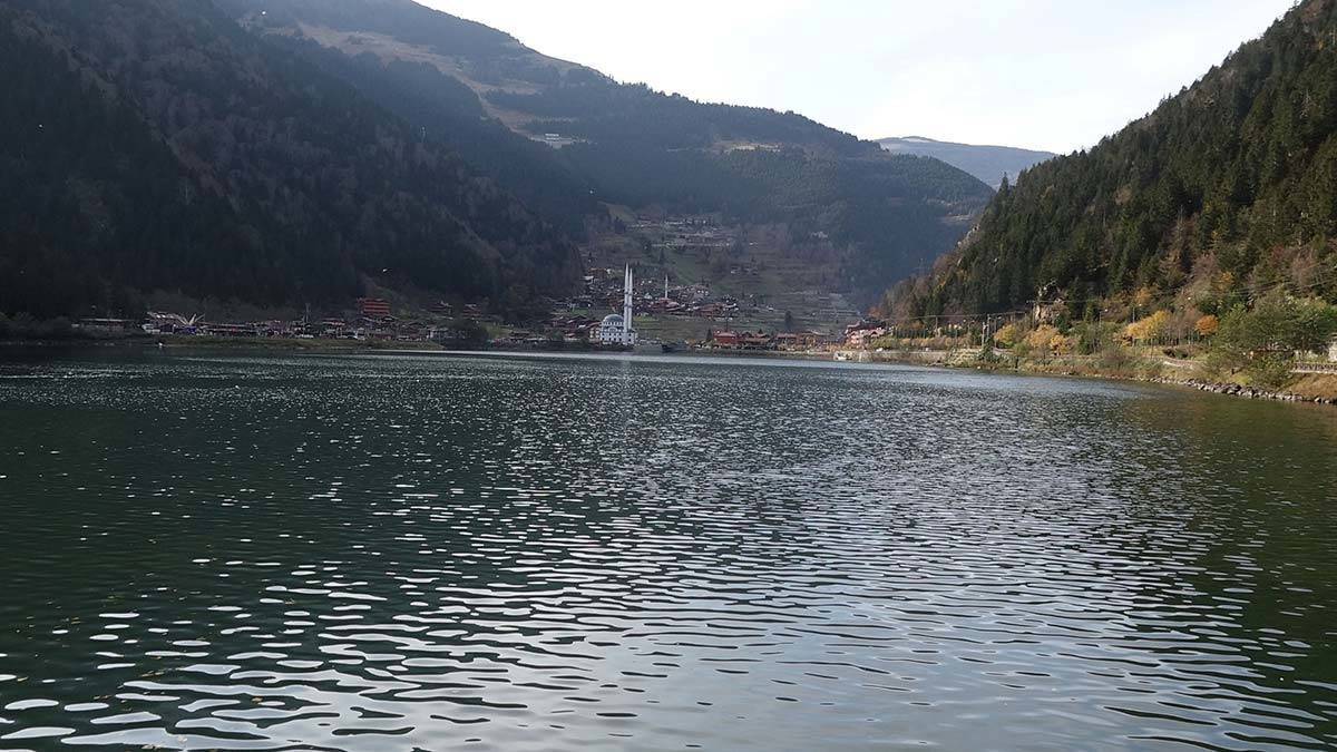 " Pandemi döneminde yaşadığımız yaralarımızı ufakta olsa sardık "