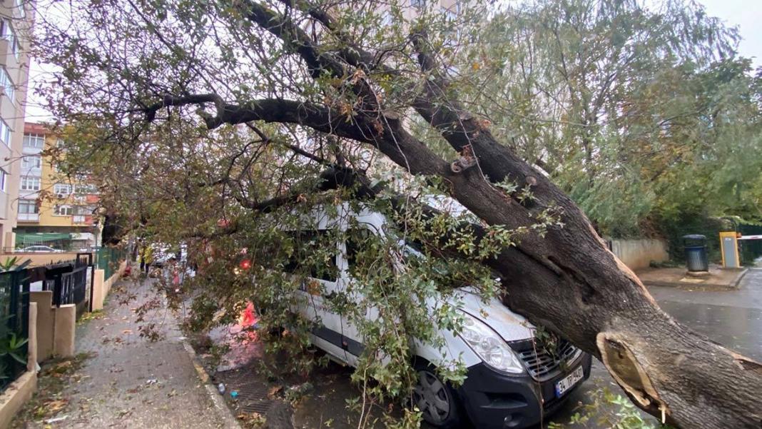 Kadıköy'de devrilen ağaç engelli servis aracına düştü