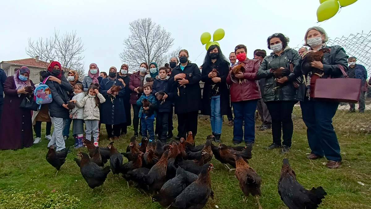 Kadın girişimcilere 36 bin 750 tavuk dağıtıldı