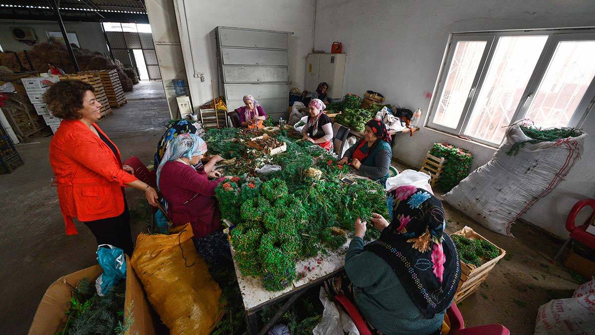 " Çelenklerin boyutları farklı. 1-3 euro arasında fiyatlanıyor"