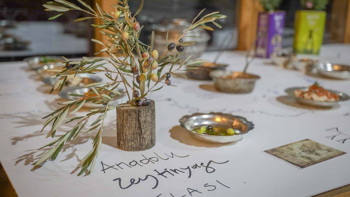 " Zeytinyağı sağlıklıdır ve ömrü uzatır gibi artık çok iyi bildiklerimizin yanı sıra artık kültürümüz için çok daha önemli bir gerçeği biliyoruz ki zeytinyağının menşei Anadolu’dur"