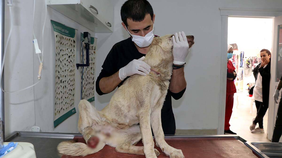 " Bacağın kangren olan kısmını kesmek zorunda kalabiliriz "