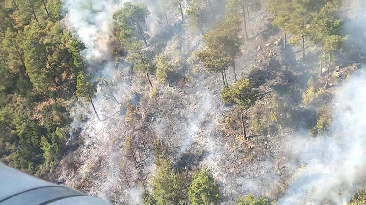 Manavgat'ta orman yangını çıktı: Müdahale sürüyor