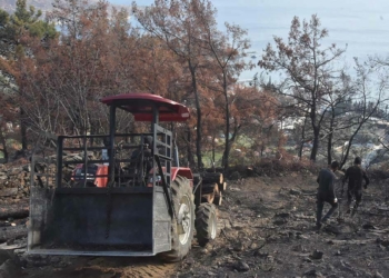 Milas ve Bodrum'da yanan sahalar temizleniyor