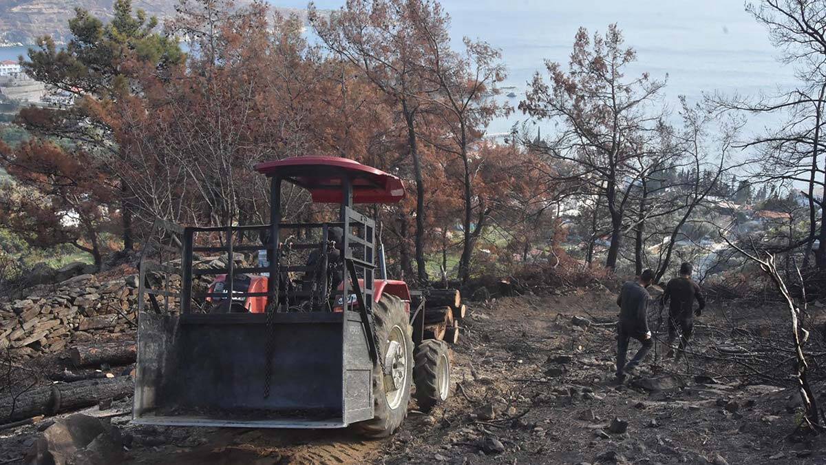 Milas ve Bodrum'da yanan sahalar temizleniyor