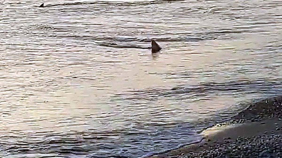 " Büyük bir şaşkınlık içerisindeyim"