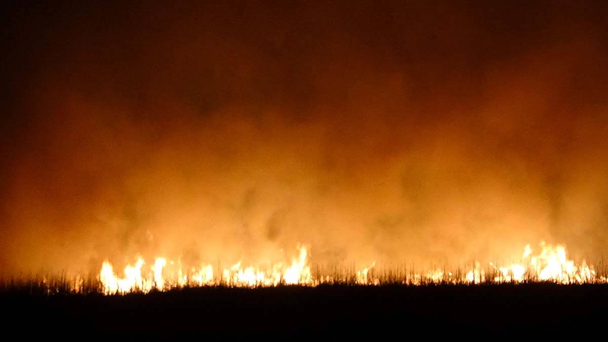 Yangının yerleşim yerlerine sıçramaması için önlem alınırken, jandarma da çıkış nedeniyle ilgili soruşturma başlattı