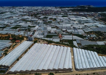 Örtü altı kurulu alan 80 milyon metrekareyi aştı