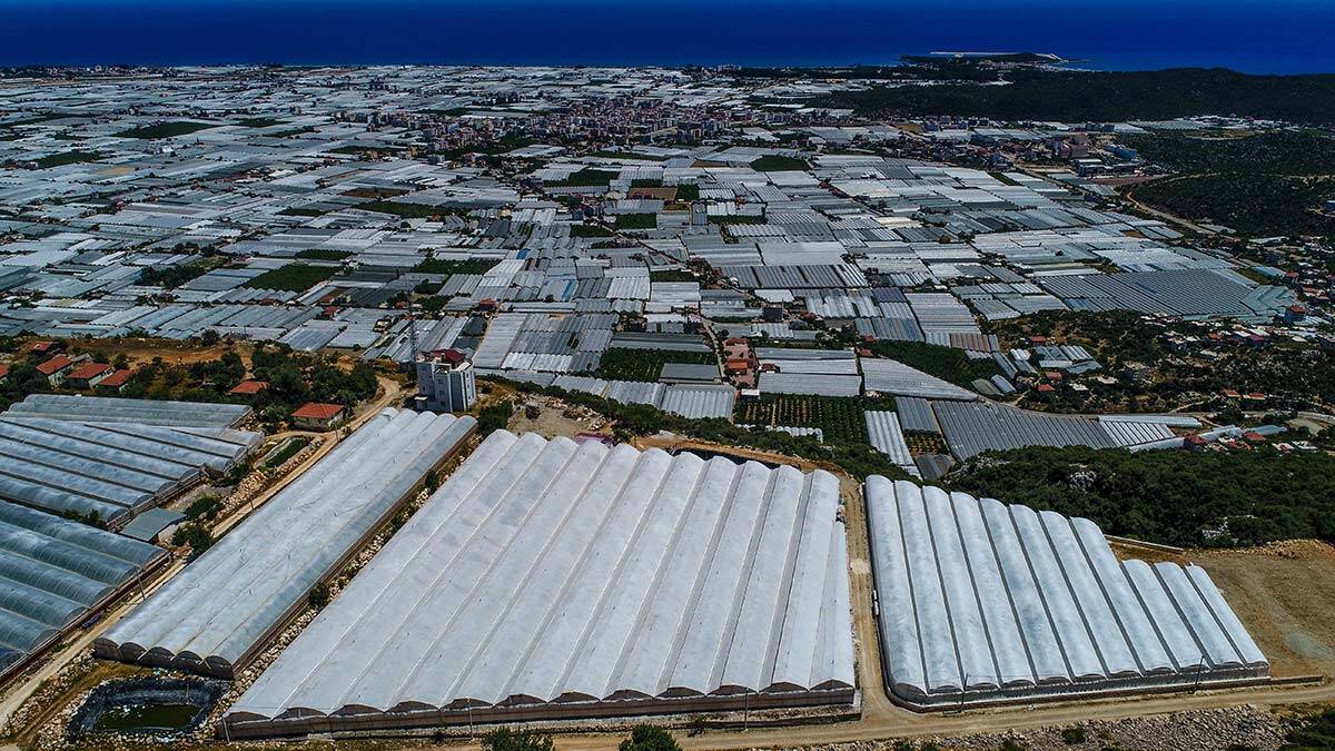 Örtü altı kurulu alan 80 milyon metrekareyi aştı