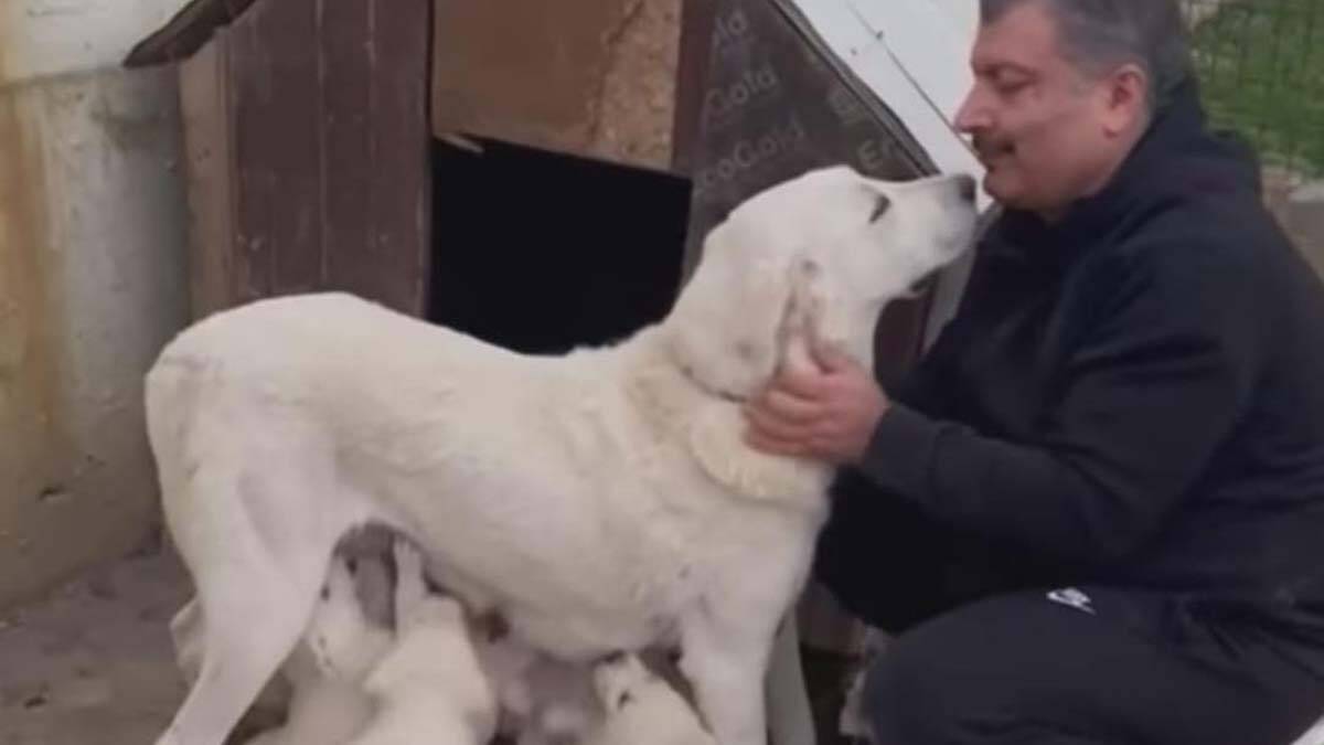 Sağlık Bakanı'nın köpeği ile videosu 7 milyon izlendi