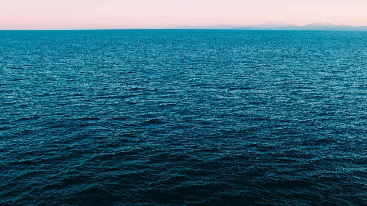 Salgında 25 bin tondan fazla plastik okyanusa atıldı