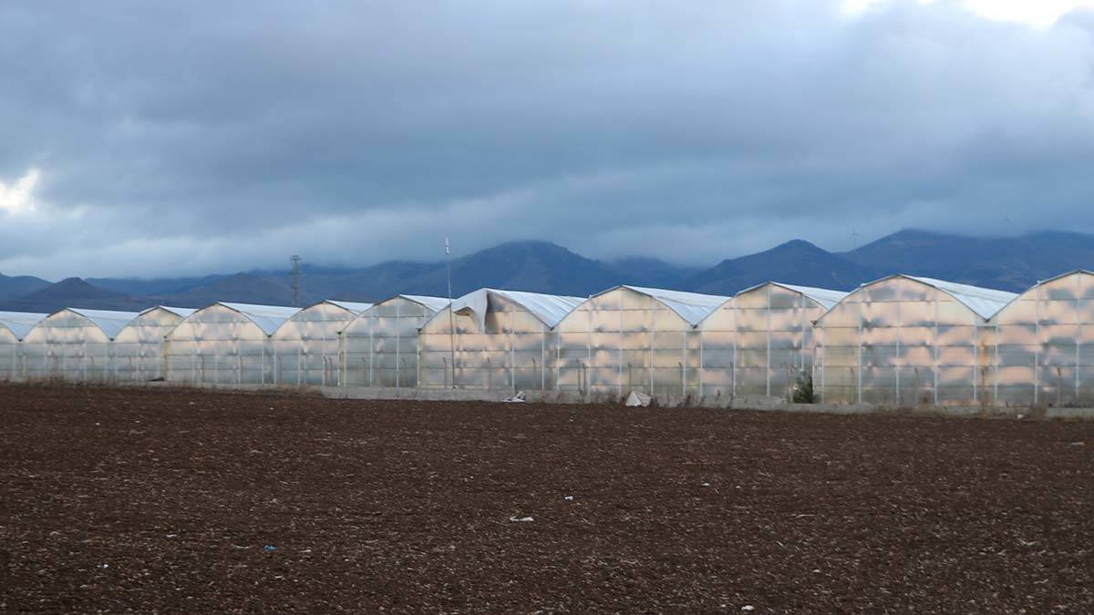 "Sandıklı'mız termal seralarda başkent olma yolunda hızla ilerlemektedir"