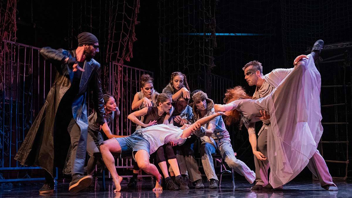 Şehir Orman ilk kez yeni AKM'de