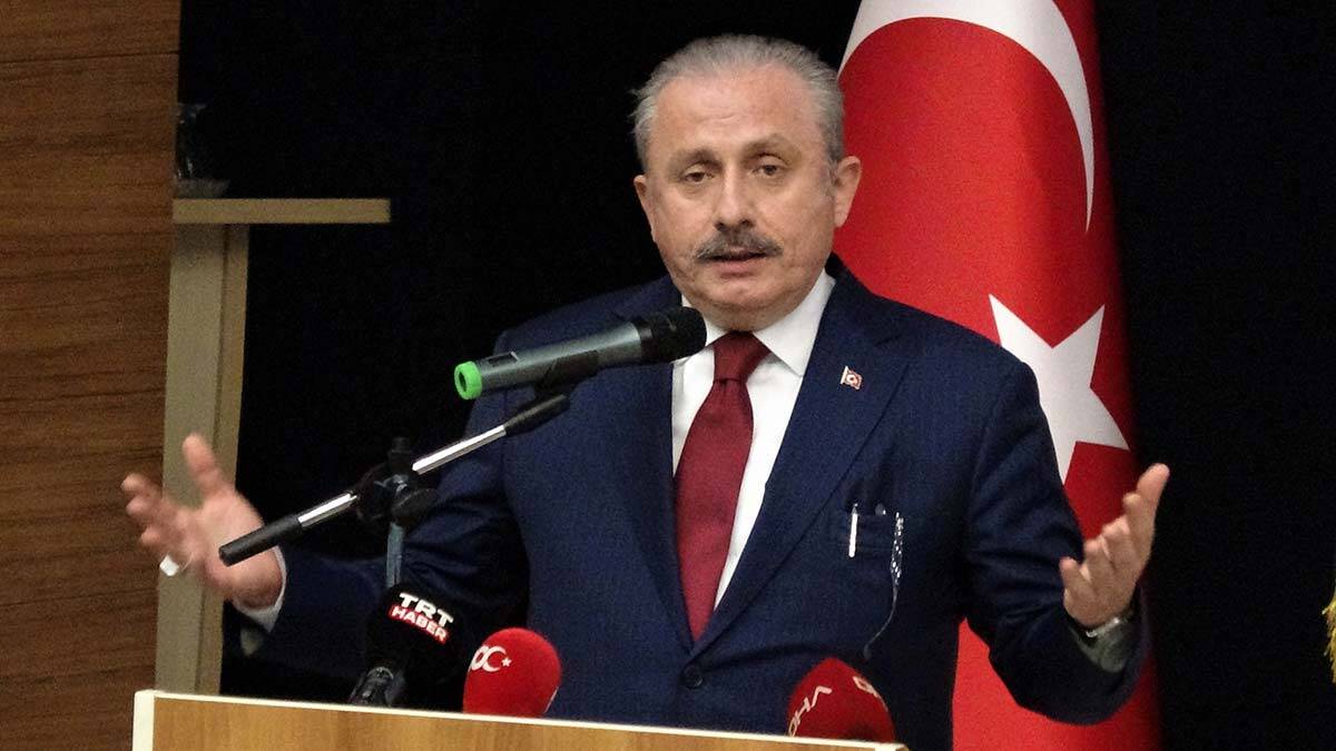 Şentop: Türkiye fikri, Türkiye'den daha büyüktür