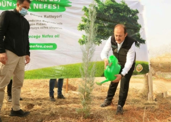 Şırnak'ta son 2 yılda 250 bin fidan dikildi