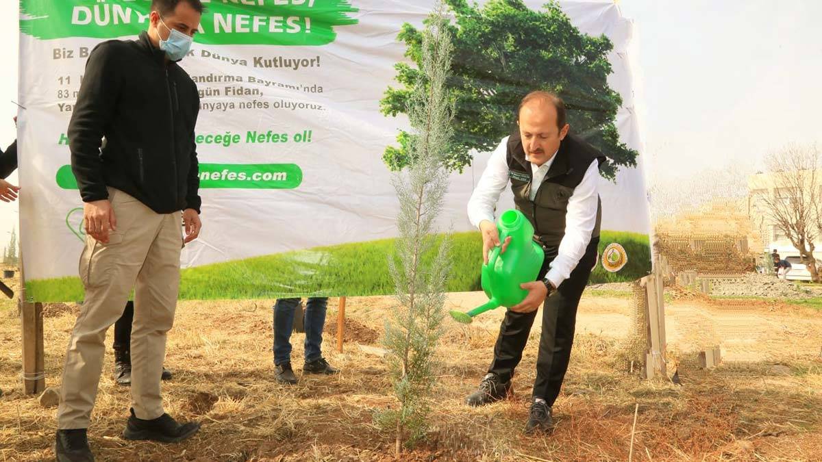 Şırnak'ta son 2 yılda 250 bin fidan dikildi
