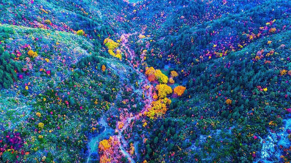 Spil dağı milli parkı'nda sonbahar güzelliği
