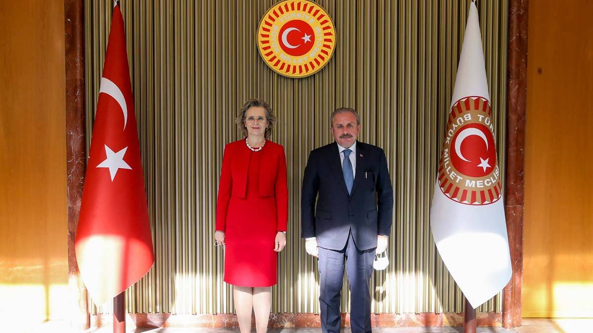 TBMM Başkanı AGİT-PA Başkanı ile görüştü