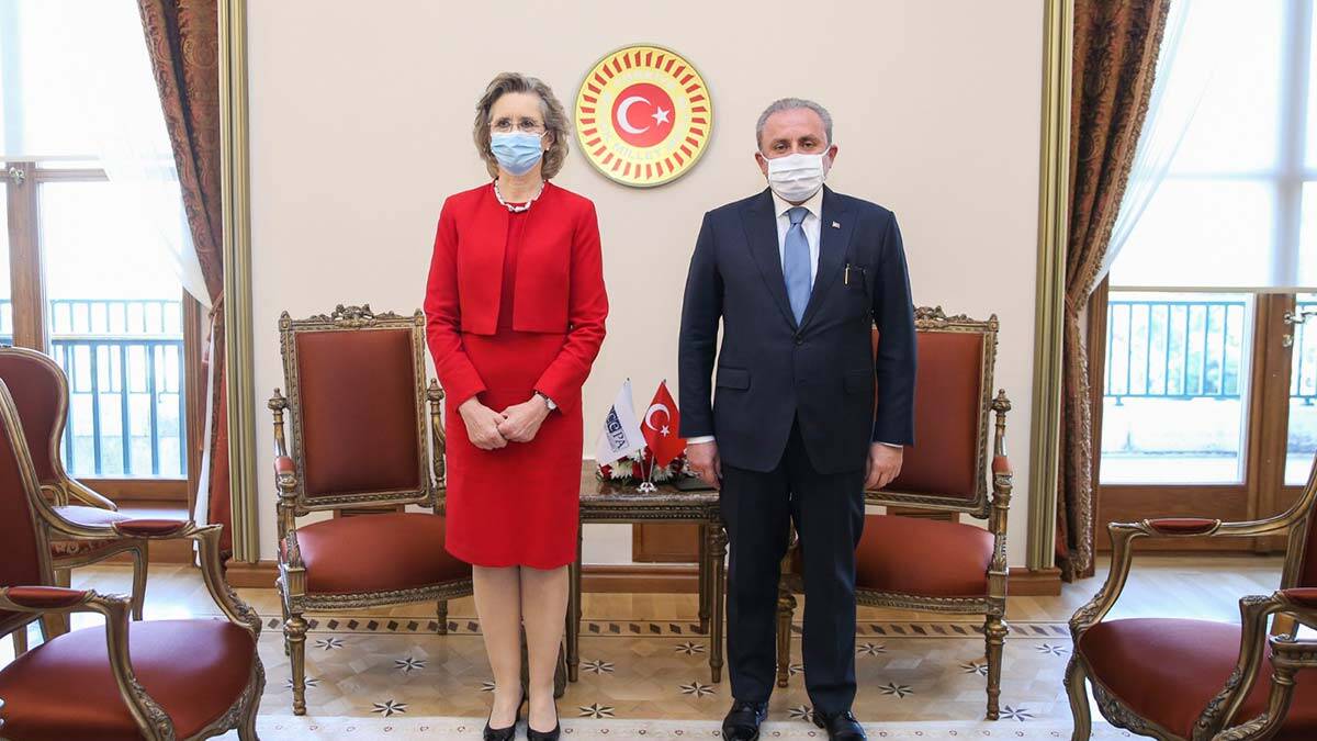 "FETÖ gibi terör örgütlerinin AGİT-PA çatısı altında bazı parlamenterler tarafından destek bulması vatandaşlarımızı üzmektedir"