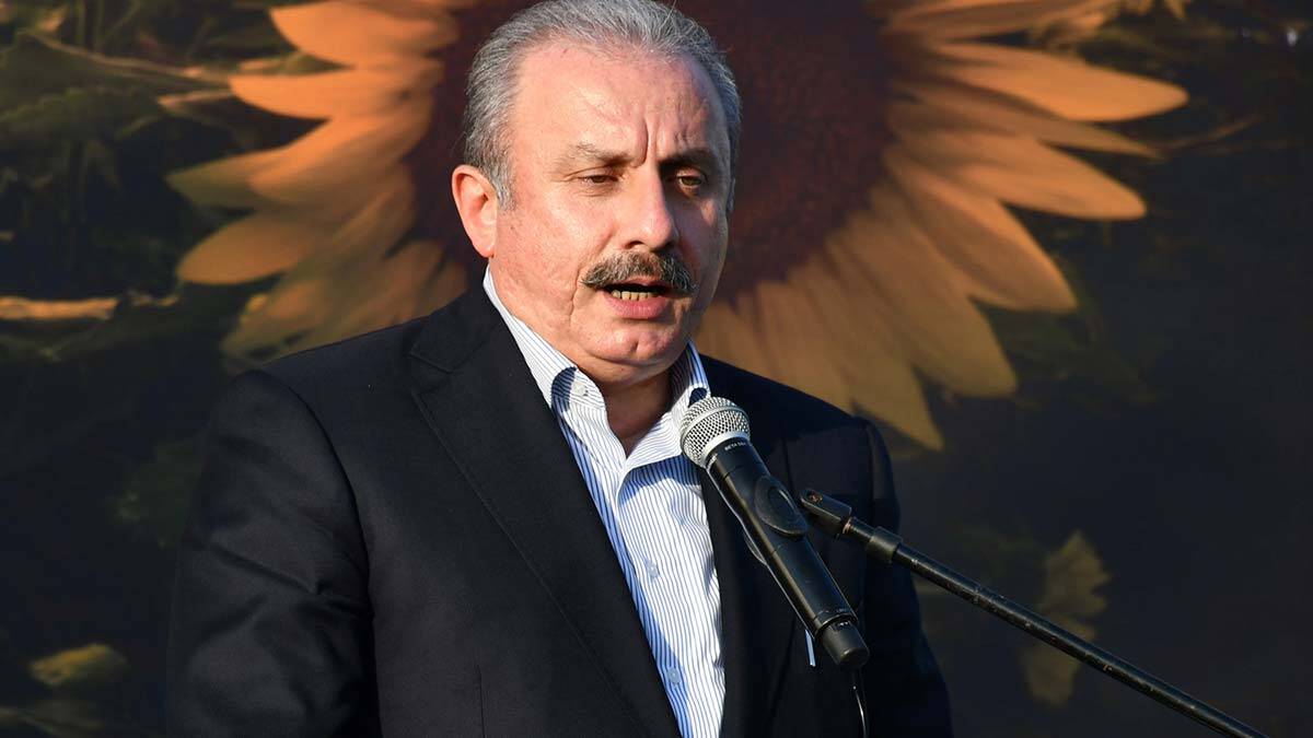 TBMM Başkanı Şentop'tan 10 Kasım mesajı