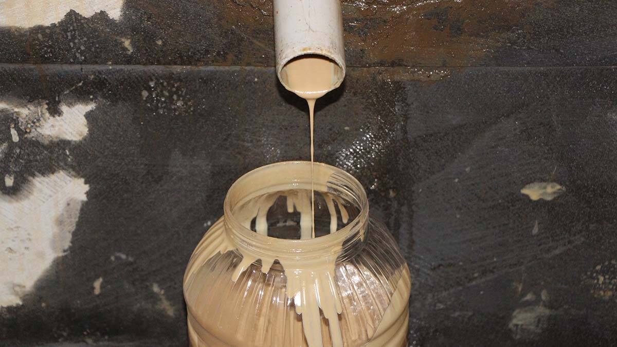 " Susam üretimi Kumçatı beldemizde yaygın olarak yapılıyor. Malumunuz tahin üretimi susamdan elde ediliyor"