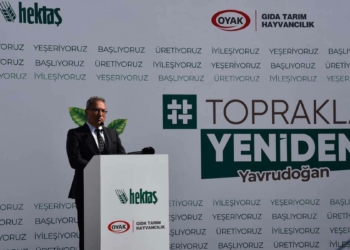 Toprakla Yeniden projesi ile yangın yaraları sarılacak