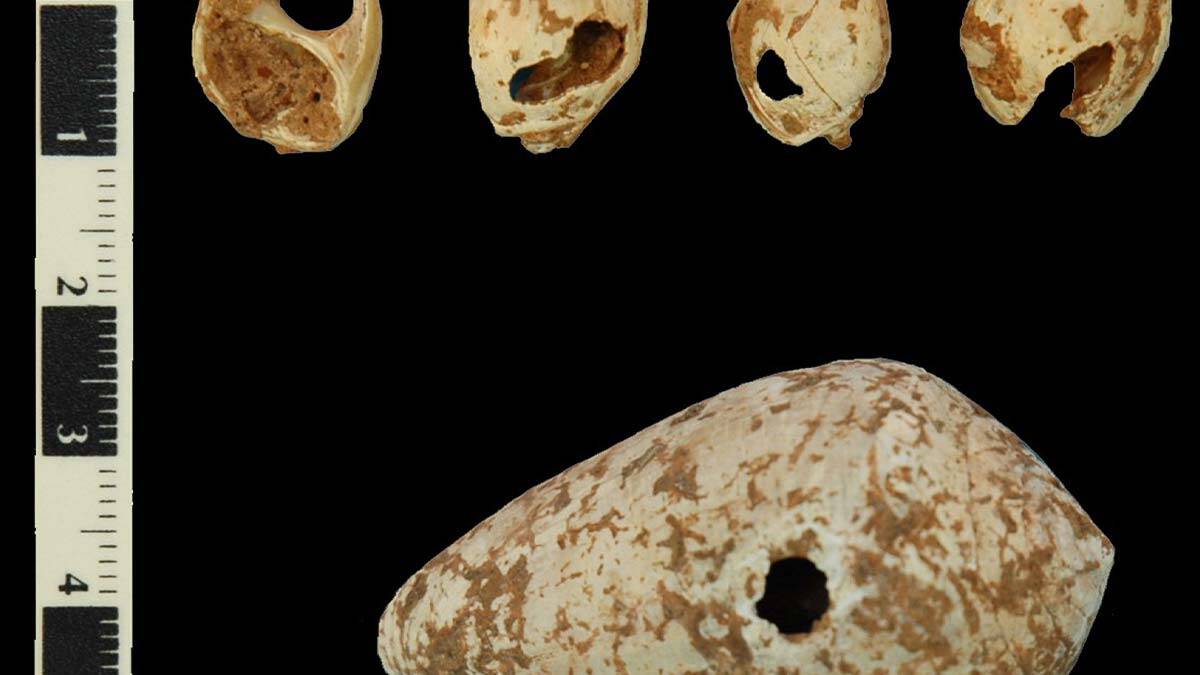 " Bu mağaraların içerisinde yaptığımız çalışmalarda sarkıt ve dikitlerin bulundukları yerleri ve dağılımlarını belgeledik "