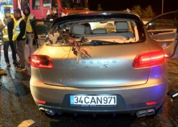 Ünlü köpek eğitmeni, trafik kazasında ağır yaralandı