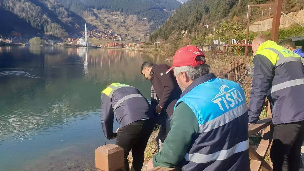 Çaykara i̇lçe tarım ve orman müdürlüğü ile ti̇ski̇ ekipleri, gölde incelemelerde bulundu.