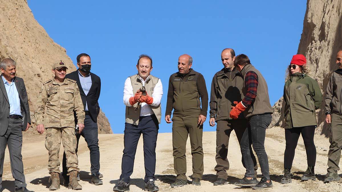 Yaban keçisi avlayanlara 185 bin 818 TL para cezası