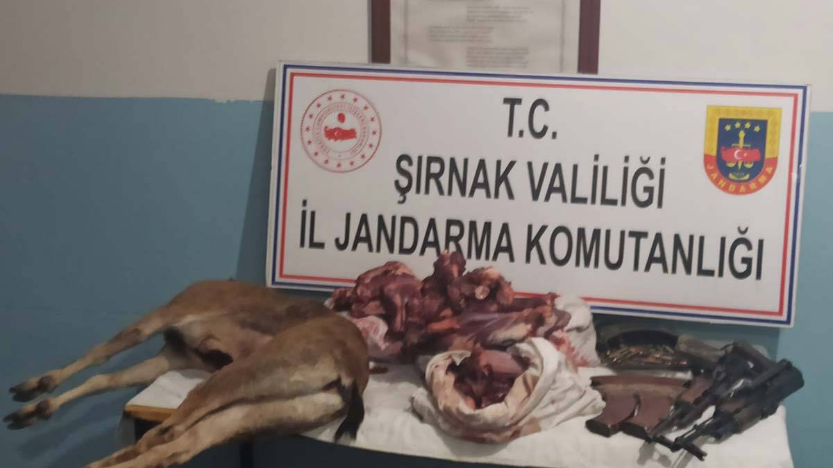 "Özellikle dağ keçilerine, ceylanlara ve benzeri türlere ateş edilmesi, av yapılması yasak"