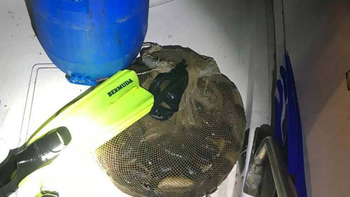 Yapılan denetimlerde 6 kişiye toplam 44 bin 182 TL idari para cezası uygulandı.