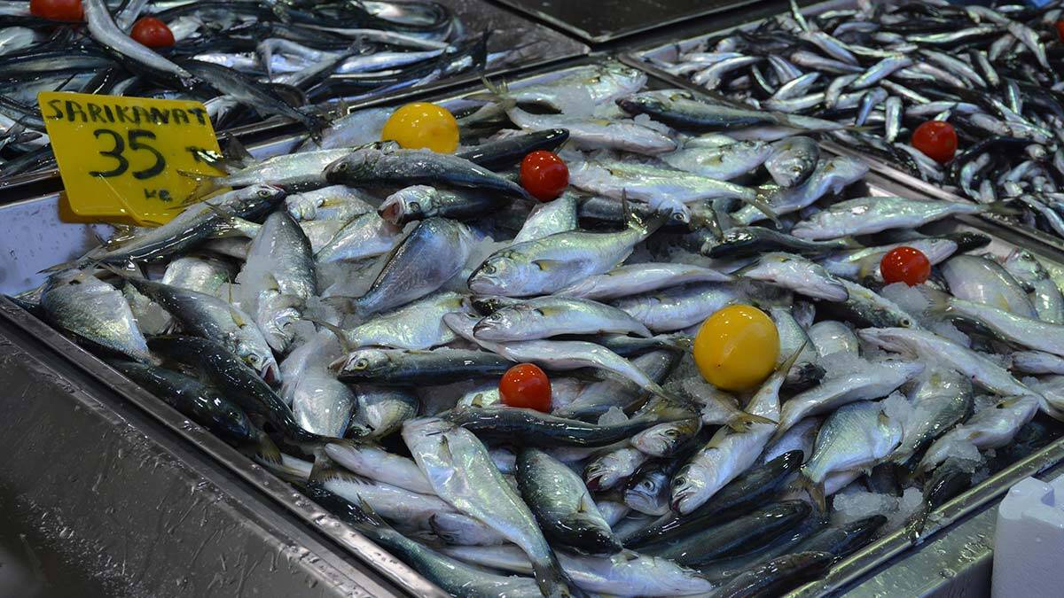 Yasal boyutun altındaki lüfere dikkat