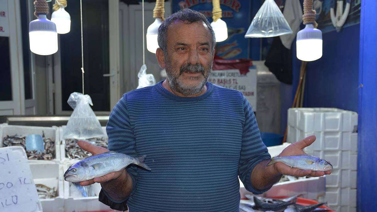 " Lüfer bollaştı ama çinekop olarak piyasada satılan küçük lüfer balıklarının tüketilmesi, bilim insanlarını mutlu etmiyor "