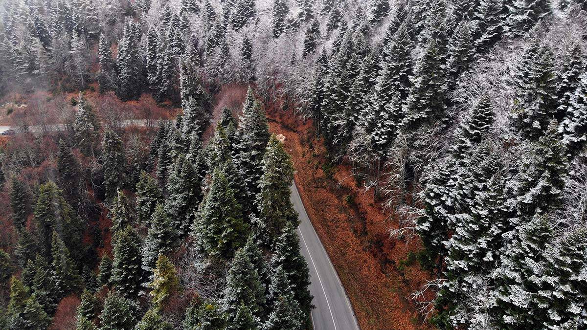 Bazı sürücüler, yoldan geri dönmek zorunda kaldı