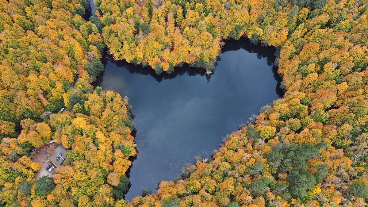 Yedigöller Milli Parkı'nda renk cümbüşü