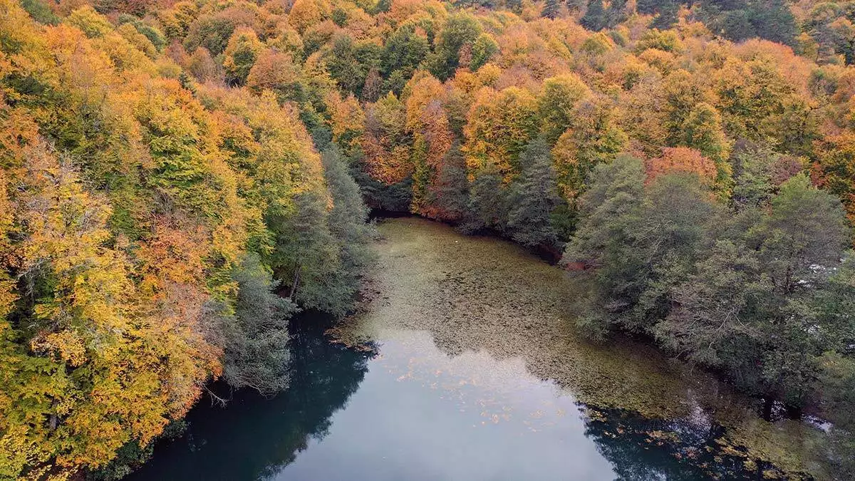 Renk cümbüşü havadan drone ile görüntülendi