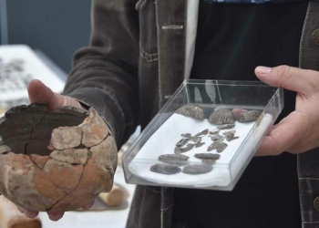 Yeşilova Höyüğü'nde kazılarda takı kabı bulundu