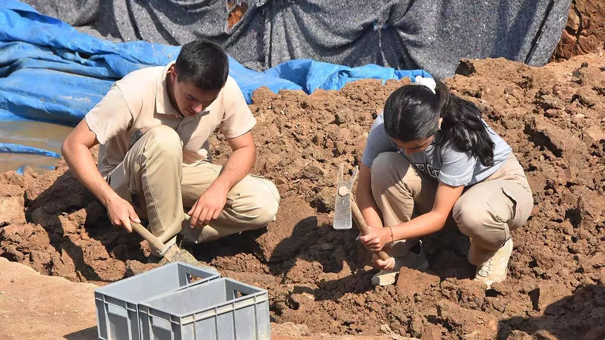 "i̇nce bir işçilik var. İşlediği midye kabuğuna 4'er delik açarak birbirine eklenmiş, zincirleme bir kolye yapılmış"