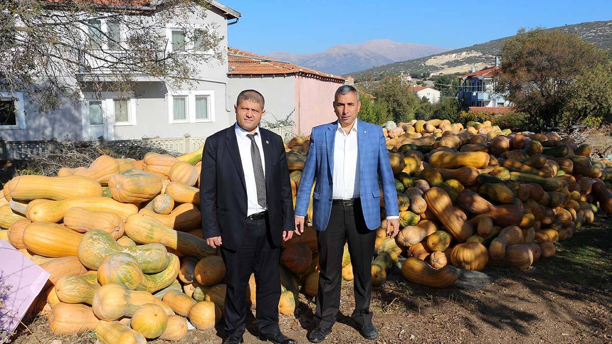 Kış aylarında yoğun rağbet gören bal kabağı, Isparta'nın 1700 nüfuslu Büyükgökçeli köyünde geçim kaynağı oldu. Ata tohumuyla bal kabağı yetiştiren köylüler, 5 milyon lira gelir elde etti.