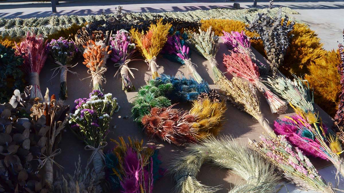 Pampas otu 100 kadına iş imkanı sağladı