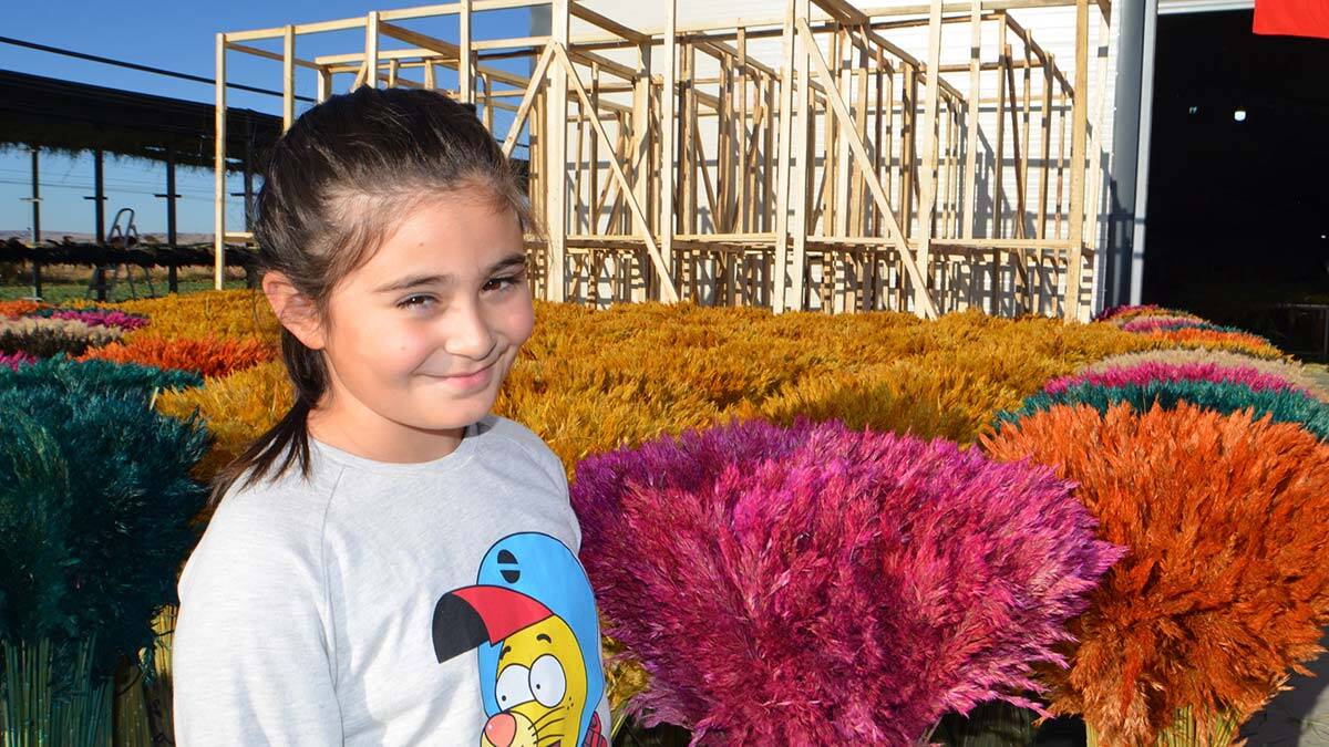 Ayşe öğretmenin 'pampas otu' projesi, köydeki 100 kadına iş imkanı sağladı.