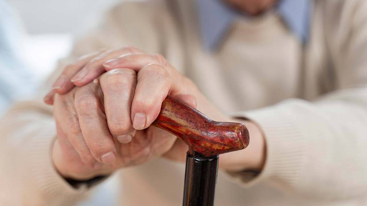 İhtiyarın bir günü