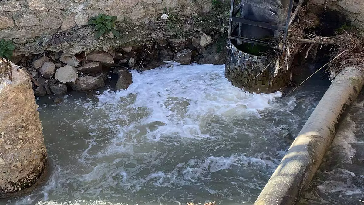 Deredeki kirliliğe fabrikaların atık sularının neden olduğu öne sürüldü.