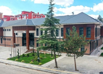 Genç dostu Mamak