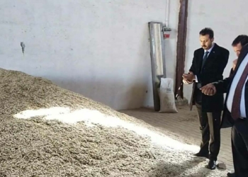 Limon dalda, kabak çekirdeği depoda kaldı