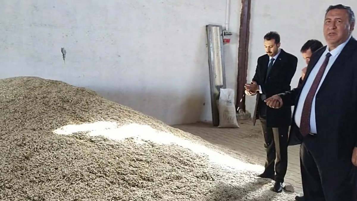 Limon dalda, kabak çekirdeği depoda kaldı