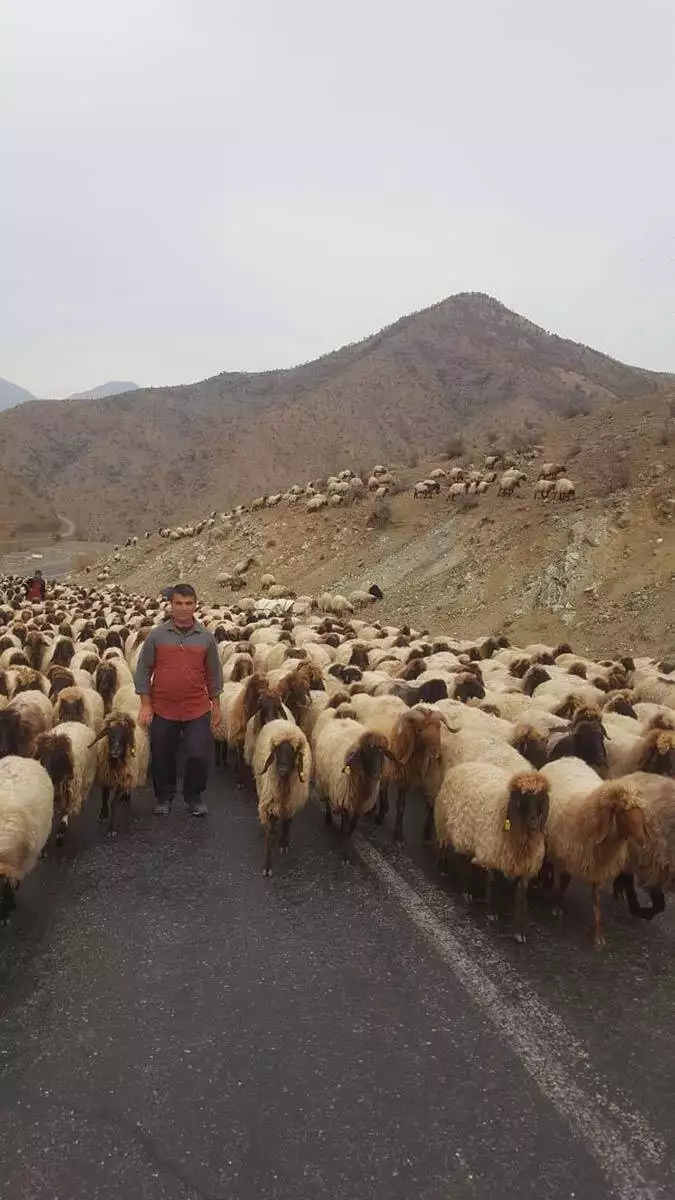 Göçerlerin yolculuğu başladı