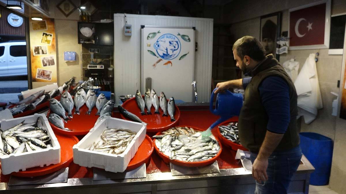 Hamsi sürüleri kuzeye yöneldi