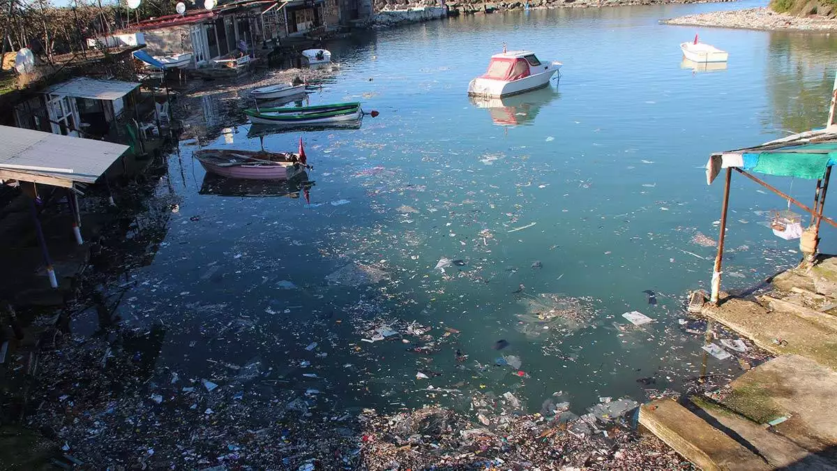 Denizlere atılan çöpler, barınaklara birikiyor